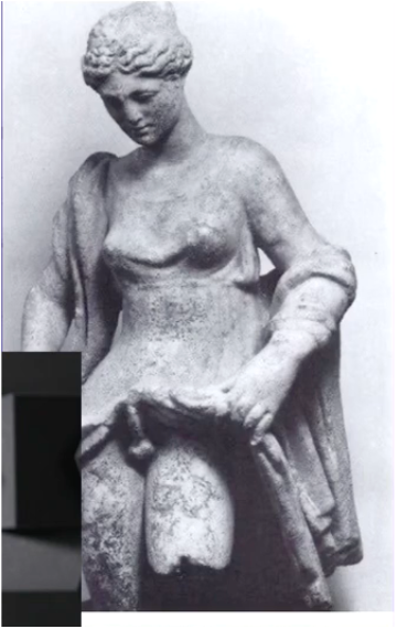 pasted image
